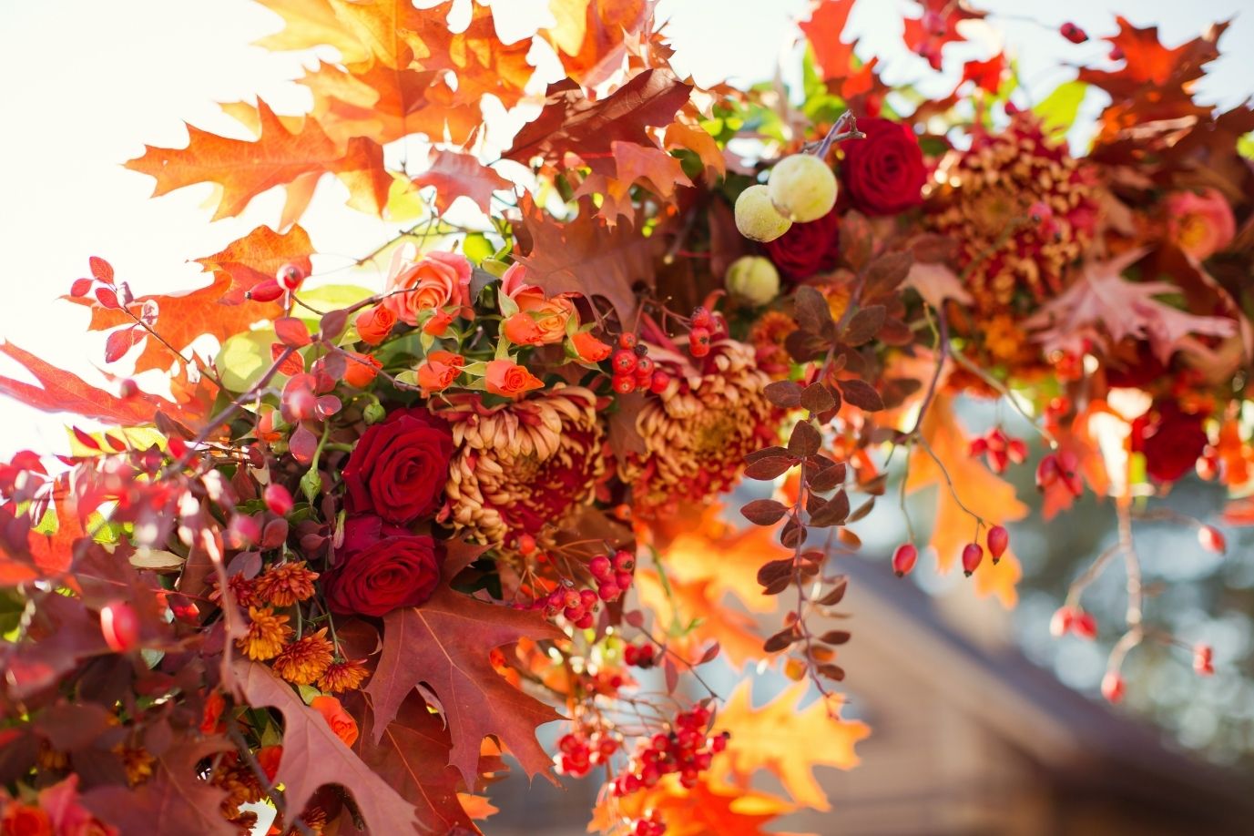 BFN - Autumn Seasonal Styling