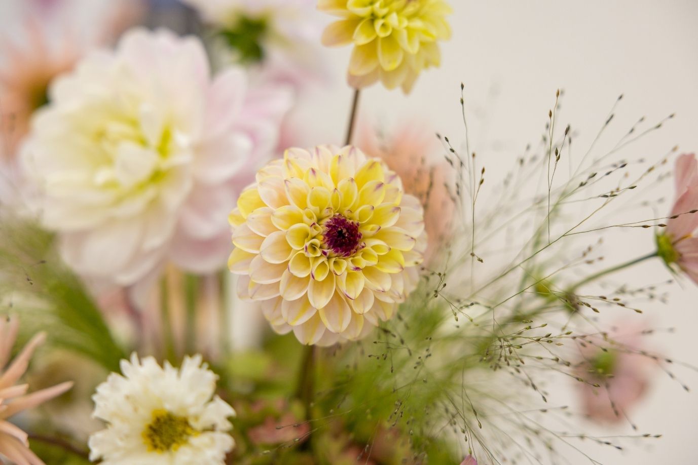 BFN - Farewell Flowers Landscape 3