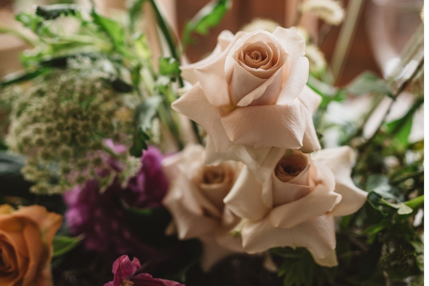 BFN - Seasonal Styling