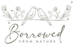 Borrowed from nature